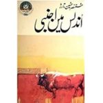 Undlas Main Ajnabi Novel by Mustansar Hussain Tarar