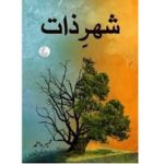 Sher-E-Zaat Novel by Umera Ahmed