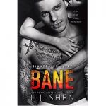 Bane by L.J. Shen