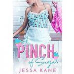 A Pinch of Sugar by Jessa Kane