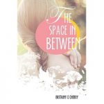 The Space in Between by Brittainy Cherry