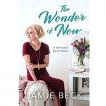 The Wonder of Now by Jamie Beck