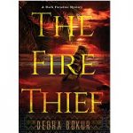 The Fire Thief by Debra Bokur