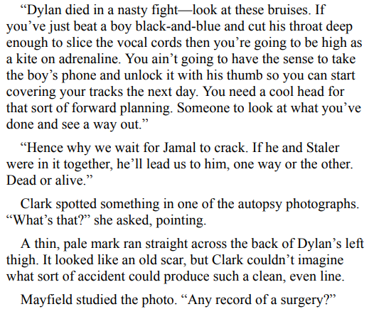 The Bright Lands by John Fram 