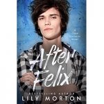 After Felix by Lily Morton PDF