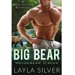 Big Bear by Layla Silver PDF