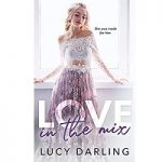 Love in the Mix by Lucy Darling PDF