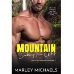 Mountain Seeking Fire Chief by Marley Michaels PDF