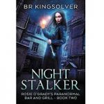Night Stalker by BR Kingsolver PDF