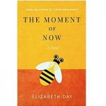 The Moment of Now by Elizabeth Day PDF