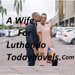 A Wife For Luthando PDF