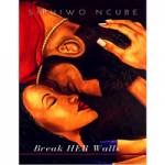 Break Her Walls by Siphiwo Ncbue PDF