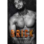 Brick by S. Nelson PDF