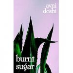 Burnt Sugar by Avni Doshi PDF