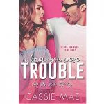 I Knew You Were Trouble by Cassie Mae PDF
