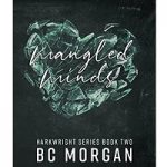 Mangled Minds by B C Morgan PDF