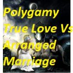 Polygamy True Love Vs Arranged Marriage PDF