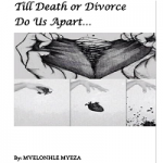 Till Death or Divorce Do Us Apart by Mvelonhle Myeza PDF