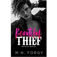 Beautiful Thief by M.N. Forgy PDF