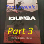 IQUNGA by Dudu Busani Dube PART 3 PDF