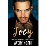 Joey by Avery North PDF
