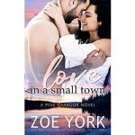 Love in a Small Town by Zoe York PDF