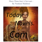More Than Just A Servant by Nonkosi Makhosi PDF