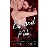 Owned by the Mob by Cyndi Faria PDF