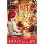 Santa Baby by Taryn Quinn PDF