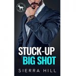 Stuck-Up Big Shot by Sierra Hill PDF