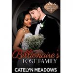 The Billionaire’s Lost Family by Catelyn Meadows PDF