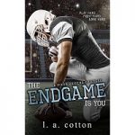 The Endgame Is You by L A Cotton PDF