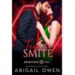 Try As I Smite by Abigail Owen PDF