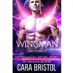 Wingman by Cara Bristol PDF