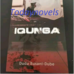 IQunga by Dudu Busani Dube