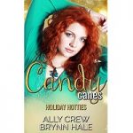 Candy Canes by Ally Crew