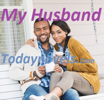 Day I Met My Husband epub