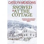 Snowed In at the Cottage by Catelyn Meadows