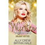 Wynter Wonderland by Ally Crew