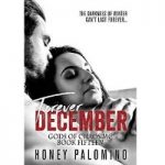FOREVER DECEMBER by Honey Palomino