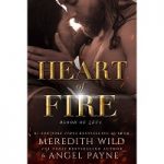 Heart of Fire by Meredith Wild