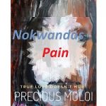 NOKWANDAS PAIN BY Precious Moloi