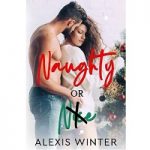 Naughty or Nice by Alexis Winter