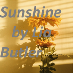 Sunshine by Lia Butler epub