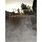 The Streets Zasemhlabeni by Athi Sabelo Mhambi