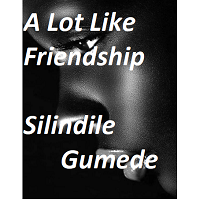 A Lot Like Friendship by Silindile Gumede