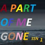 A Part Of Me Gone SSN 1