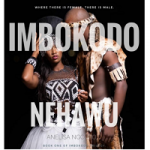Imbokodo Nehawu by Anelisa Ngcobo