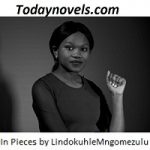 In Pieces by Lindokuhle Mngomezulu