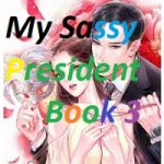 My Sassy President Book 3